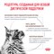 Royal Canin GASTROINTESTINAL MODERATE CALORIE (ГАСТРОИНТЕСТИНАЛ МОДЕРЕЙТ КЭЛОРИ) Корм сухой для кошек, склонных к набору веса, при расстройствах пищеварения - фото 51630