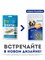 Лакомство Мнямс ДЕНТАЛ для собак "Крученые палочки" с ягненком и мятой 70 г - фото 53299