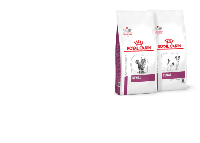 Две упаковки корма Royal Canin Renal.