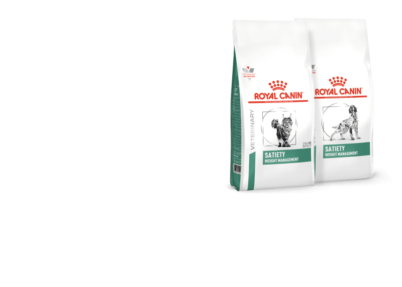 Две упаковки корма Royal Canin Weight management.