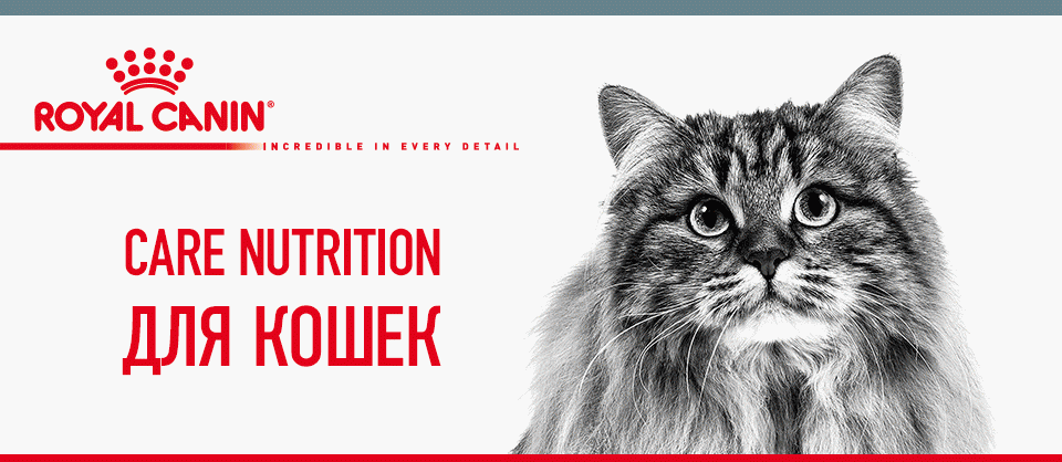 care nutrition для кошек