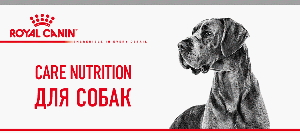 care nutrition для собак